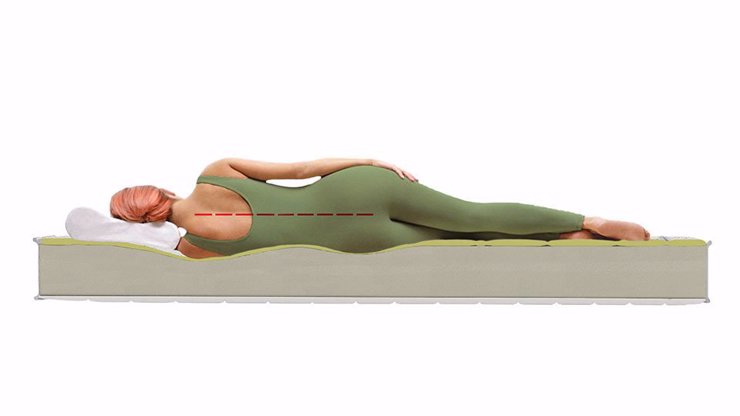 Imaginea Saltea Aloe Vera