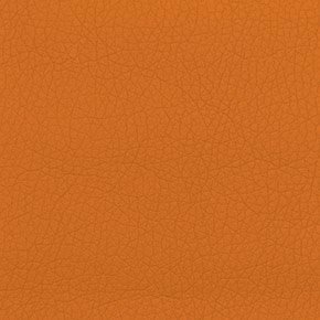 Vinyl Vl 6019 [+60,00 RON]