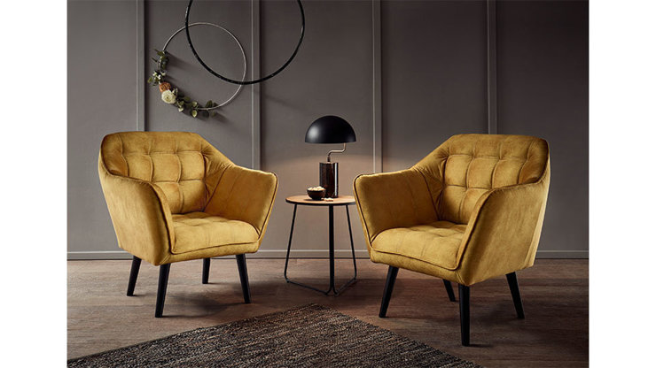 Imaginea Fotoliu Max