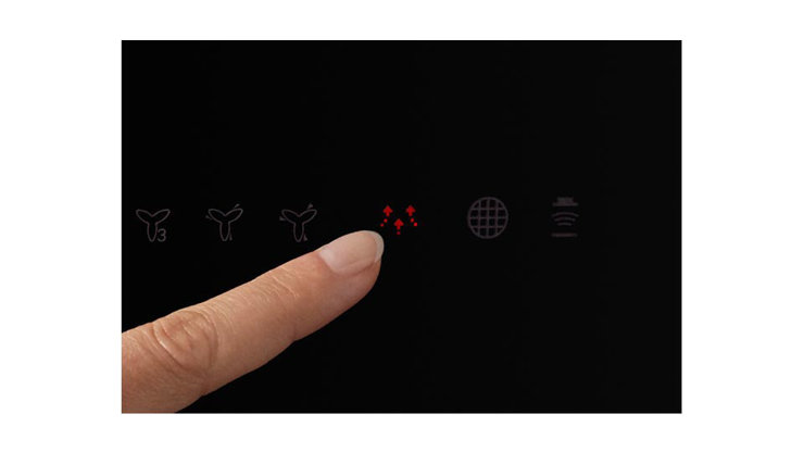 Imaginea Hota Electrolux LFV619R