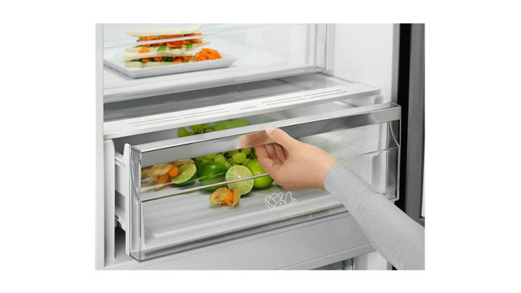 Imaginea Combina frigorifica No Frost  Electrolux LNT7ME34G1