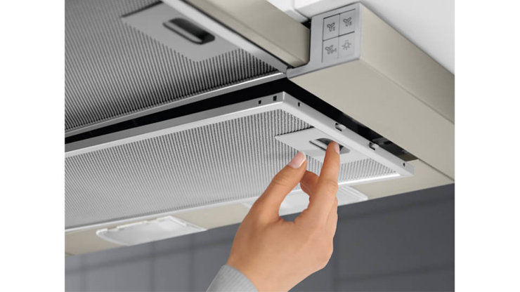 Imaginea Hota Electrolux LFP316AS