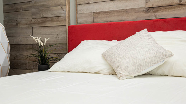 Imaginea Pat Klass Promo