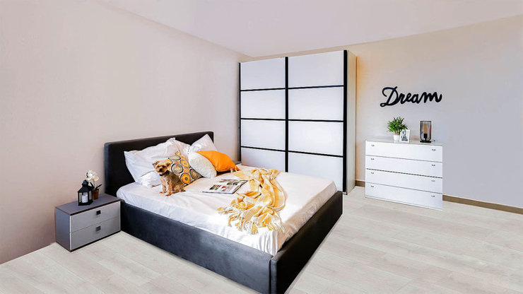 Imaginea Dressing program