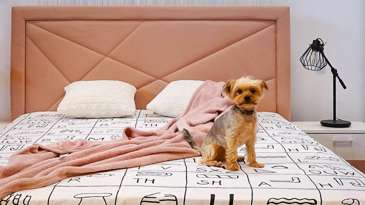 Imaginea Dormitor Concept