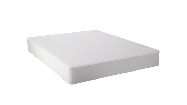 Imaginea Protectie Saltea Eucalypt Natura