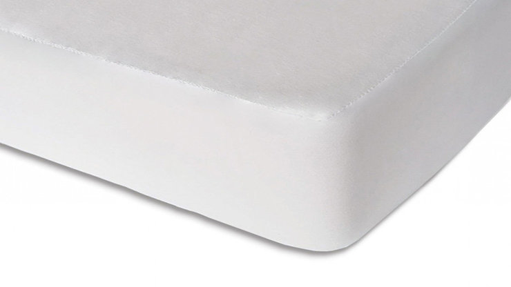 Imaginea Protectie Saltea Eucalypt Natura