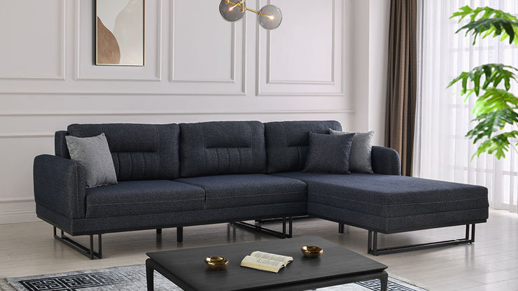 Imaginea Coltar Leon