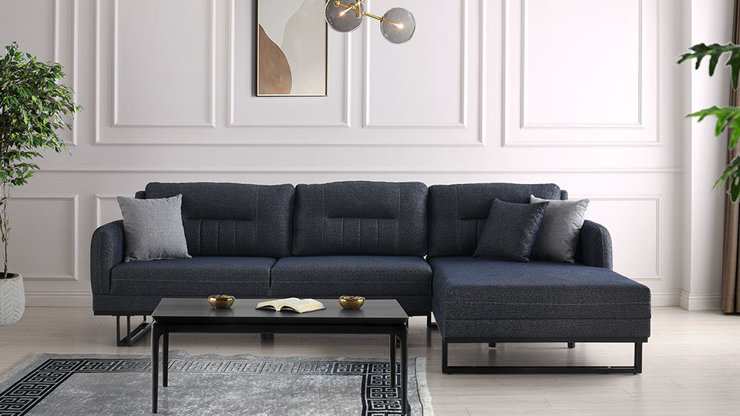 Imaginea Coltar Leon