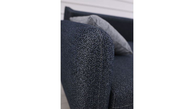 Imaginea Coltar Leon