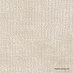 Perfect Harmony 07