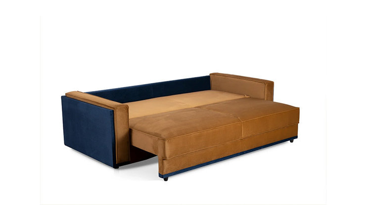 Imaginea Canapea Leon