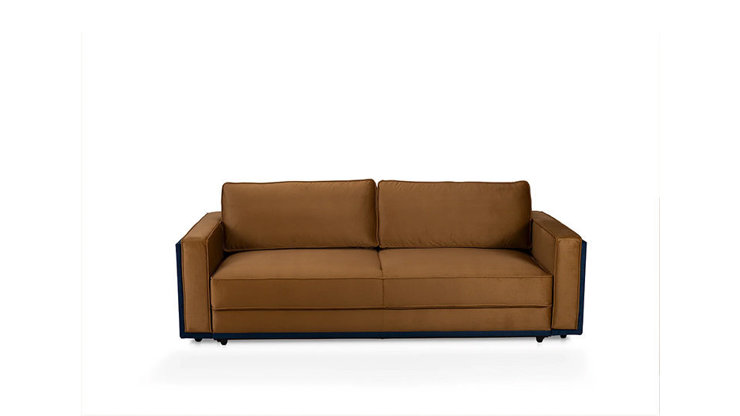 Imaginea Canapea Leon