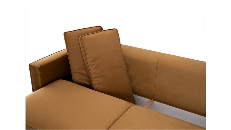 Imaginea Canapea Leon