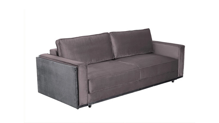 Imaginea Canapea Leon