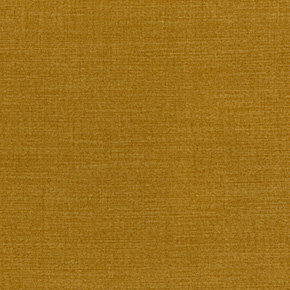 Campsbay R456 Mustart