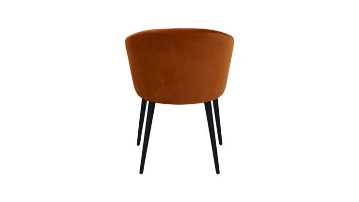 Imaginea Scaun Capriso