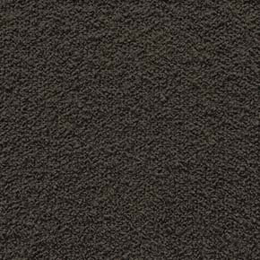 Firenze G234 coffee bean