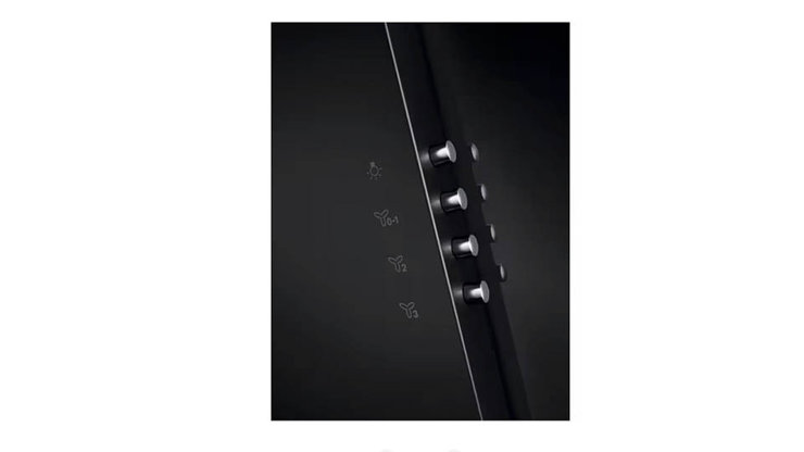 Imaginea Hota Electrolux LFV326