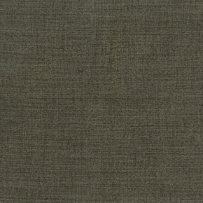 Campsbay R454 Turtle