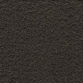 Firenze G234 coffee bean