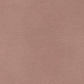 Microfibra Letto 61